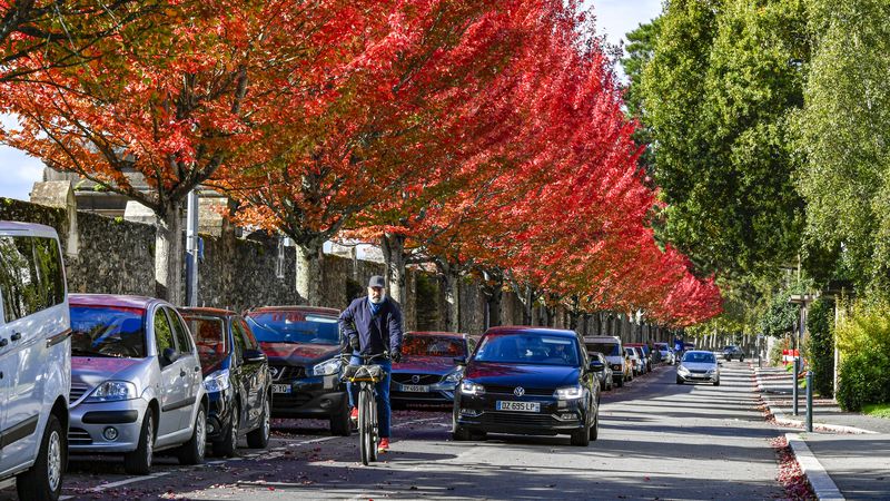 aux couleurs de l'automne les arbres aux couleurs de l'automne dans la rue du Limousin